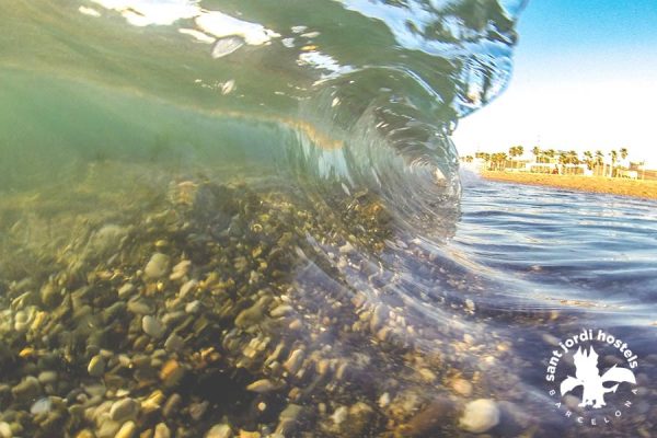 Shorebreak - Barcelona Waves