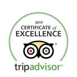 certificate-or-excellence_2019-250x250