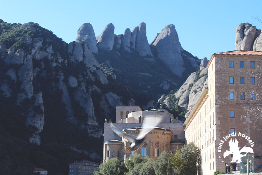 day_trip_to montserrat_05