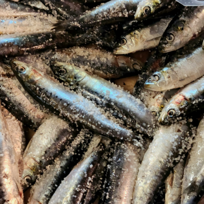 sardine-festival-in-lisbon-01