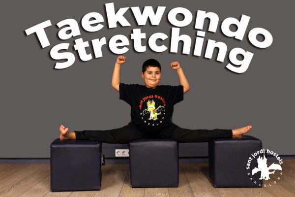 Taekwondo stretching kid